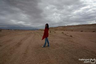 苍茫的天涯是我的爱,苍茫天涯情缘路